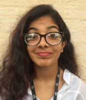 Model UN Conference in Dubai