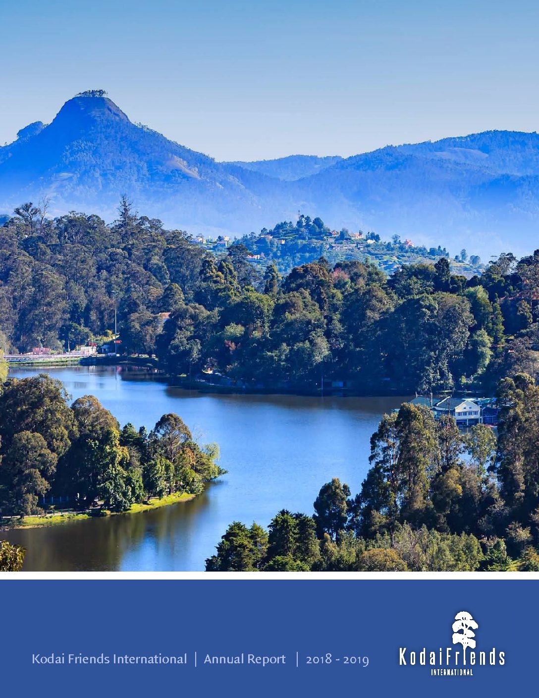 Annual Report – Newest Edition