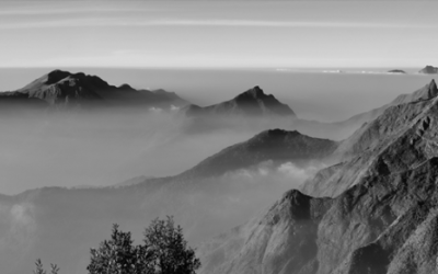 Sky Island Exhibition