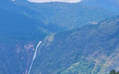 KFI Annual Report 2023-24